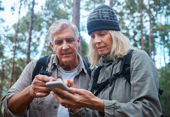 Phone, hiking and mature couple of friends search for location, outdoor guide or wellness blog tips in forest. Senior people trekking or travel in woods on smartphone, cellphone or mobile app for map