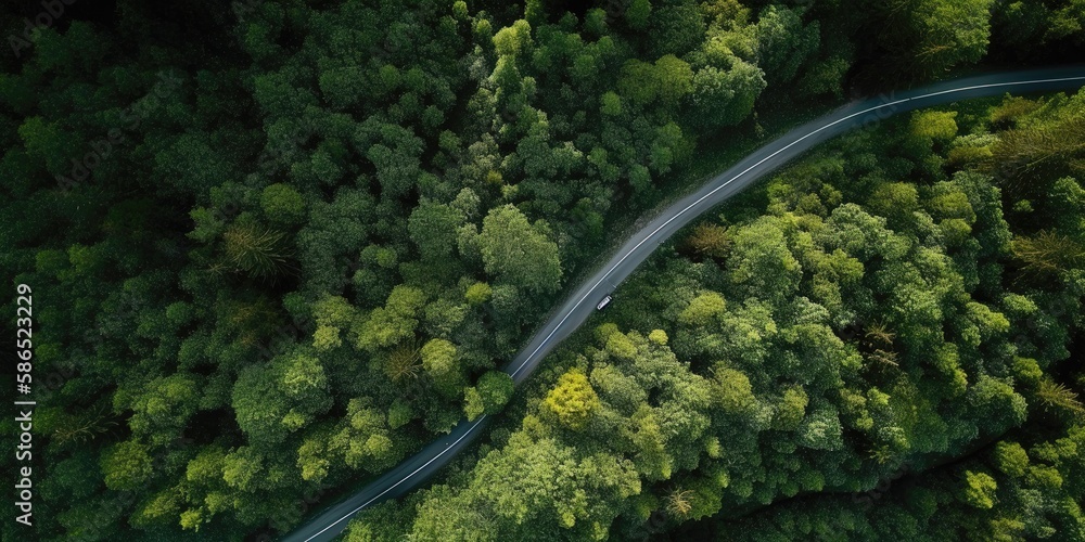 Poster bird's-eye view of the road in the middle of the forest.aerial view. panoramic shot. generative ai