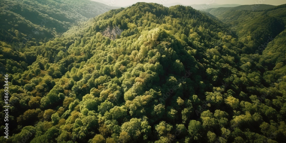 Poster view from the height of the mountain hills covered with dense green lush forests.aerial view. panora