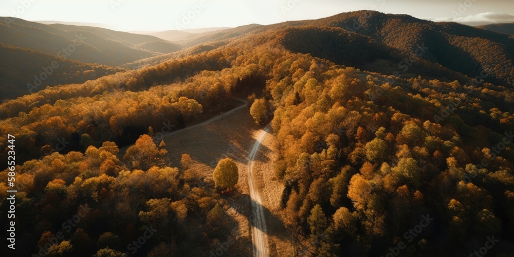 Poster view from the height of the mountain road in the forest at sunset in autumn.aerial view. panoramic s