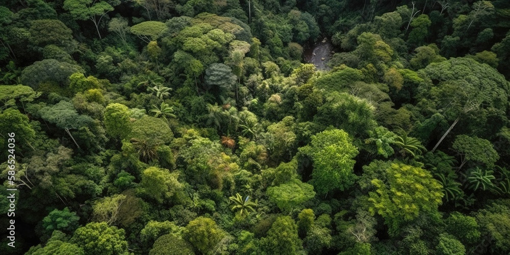 Poster beautiful bird's-eye view of the forest.aerial view. panoramic shot. generative ai