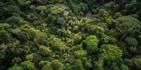 Beautiful bird's-eye view of the forest.Aerial view. Panoramic shot. Generative AI - obrazy, fototapety, plakaty