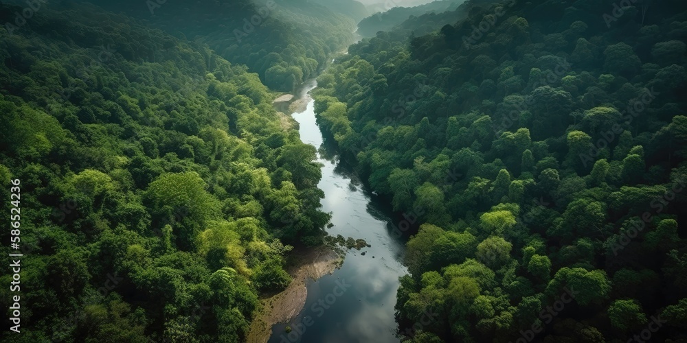 Poster view from the height of the river among the green forest.aerial view. panoramic shot. generative ai