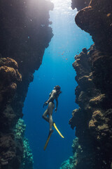 Woman freediver posing over sandy bottom with yellow fins. Freediving in blue ocean at Blue Hole Bells. Freediver young girl with fins glides undersea with sun rays. Snorkeling lovely asian girl swim