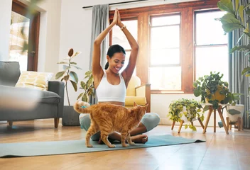 Fotobehang Cat, fitness or happy woman in yoga lotus pose for body flexibility, wellness or healthy lifestyle. Kitten, pet animal or zen girl with hands up in exercise, workout or training warm up in house © Nina/peopleimages.com