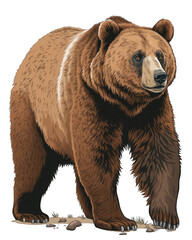 Bear Illustration With Transparent Background. Generative Ai.
