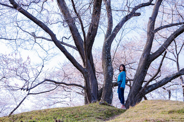 大きな桜の木の下にいる女性