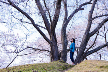 大きな桜の木の下にいる女性