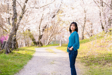 Fototapeta premium お花見でポートレート撮影する女性１０