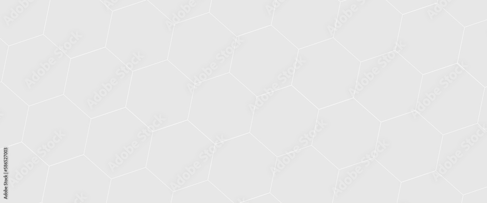Poster abstract geometric hexagon white and gray color background. computer digital drawing, background wit