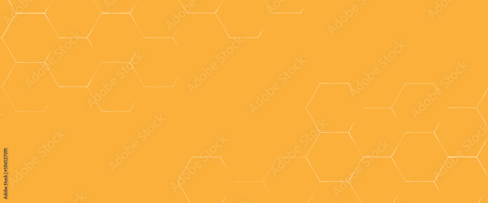 Poster abstract geometric hexagon white and gray color background. computer digital drawing, background wit