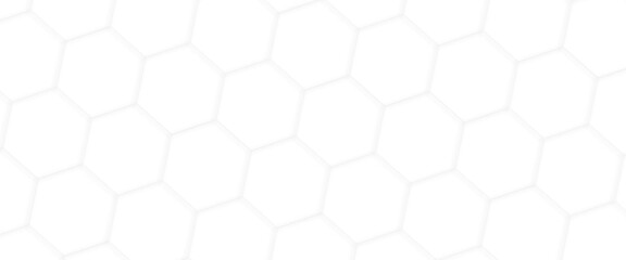 Abstract geometric hexagon white and gray color background. Computer digital drawing, background with hexagons, abstract background with lines, modern Abstract vector illustration. Poster, wallpaper.