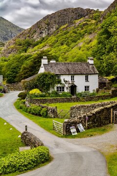 Yew Tree Farm