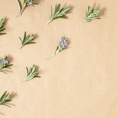 Pattern made of rosemary with copy space on brown paper background. Minimal concept.