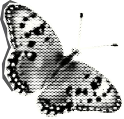 Foto op Plexiglas Grunge vlinders Retro halftone collage butterfly  for mixed media design. Insect in halftone texture, dotted pop art style. Vector illustration of vintage grunge punk crazy art templates.