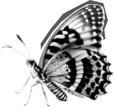 Retro halftone collage butterfly  for mixed media design. Insect in halftone texture, dotted pop art style. Vector illustration of vintage grunge punk crazy art templates.