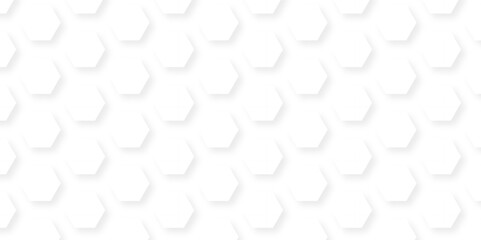 Abstract background with hexagons and Background with hexagons . Abstract background with lines . white texture background . white and hexagon abstract background. white paper texture.