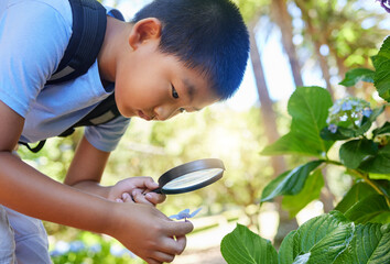 Magnifying glass, garden and an asian boy studying plants outdoor for education during a field trip. Kids, school and outing with a male student learning about organic sustainability in nature