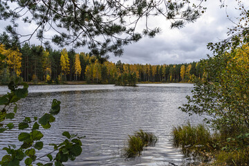 Autumn landscape on a cloud day, on the lake. Rakhya, Leningrad Region, Northwest Russia