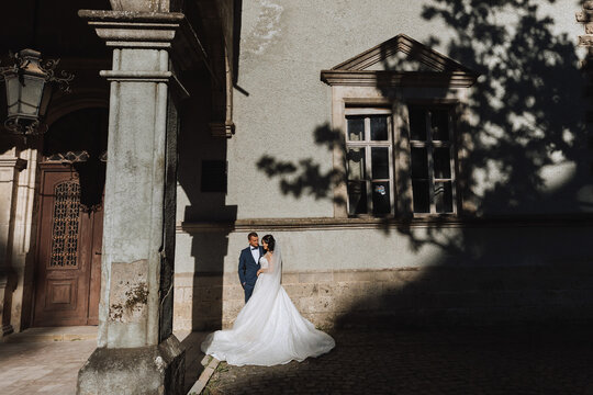 the bride near the castle, a chic white dress, shadows from the trees, an important historical building