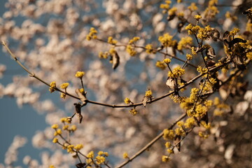 Printemps 2023, Paris