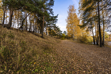 Obraz premium Autumn landscape on a cloudy day, on the lake. Pavlovsk, Leningrad Region, Northwest Russia