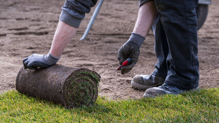 Gardener lays new sod / turf for lawn in spring time - landscaping, greening