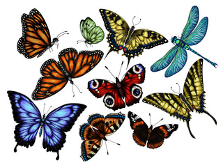 Vector set of 9 insects. Monarch butterfly, hive butterfly, peacock butterfly, butterfly swallowtail, pieridae, butterflies admiral, podalirius, papilio, dragonfly