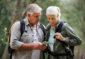 Forest, hiking and elderly couple with phone for gps, location or navigation while exploring...