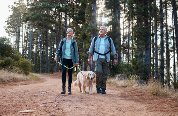 Forrest, hiking and old couple with dog on nature walk in mountain in Peru for fitness and...