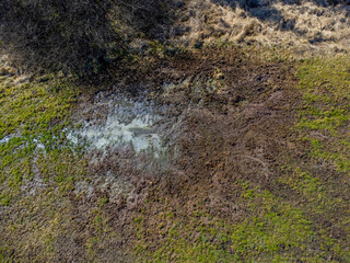 Aerial view of damage of wild boar in a meadow