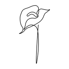 Tulip flower line continuous .Calla lily flower one line drawing art. Line continuous style. Simple black and white logo, icon, design