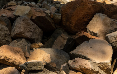 Pika Pops Out From the Shadows of Volcanic Rock In Crater Lake