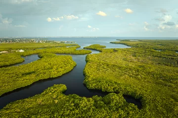 Foto op Plexiglas Overhead view of Everglades swamp with green vegetation between water inlets. Natural habitat of many tropical species in Florida wetlands © bilanol