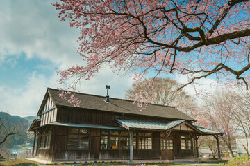 桜と古い駅舎