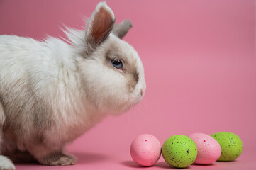 Easter Bunny on a pink background with colorful painted eggs.