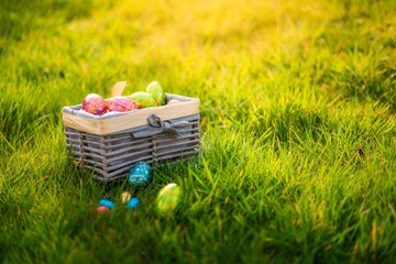 Obraz na płótnie Canvas Easter eggs in basket in grass. Colorful decorated easter eggs in wicker basket. Traditional egg hunt for spring holidays. Morning magical light.