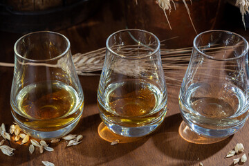 Speyside scotch whisky tasting on old dark wooden vintage table with barley grains close up