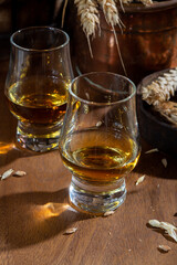 Small tasting glasses with aged Scotch whisky on old dark wooden vintage table with barley grains