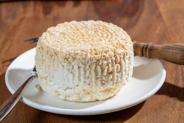 Polish skimmed fresh smoked milk twarog cheese, white cow cheese compared to curd, quark, or cottage cheese made in Poland