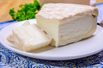 Fototapeta na wymiar Piece of french soft-ripened white mold cow milk cheese brie produced in Seine-et-Marne region, France