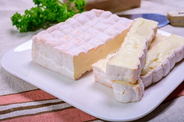 French cheeses collection, yellow Vieux Pane cheese with white mold