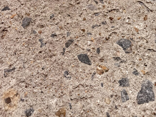 The rugged surface of the old cement walkway has unusual rock outcrops.