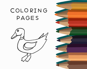 Vector isolated illustration of duck coloring page. Coloring page for kindergarten.