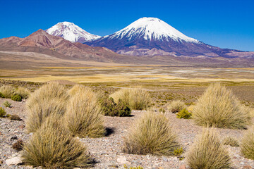 Fototapeta na wymiar Parinacota and Pomerape Volcanoes, Lauca National Park, Chile, South America