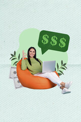 Vertical photo collage of successful businesswoman sit on bean bag with laptop make money online...