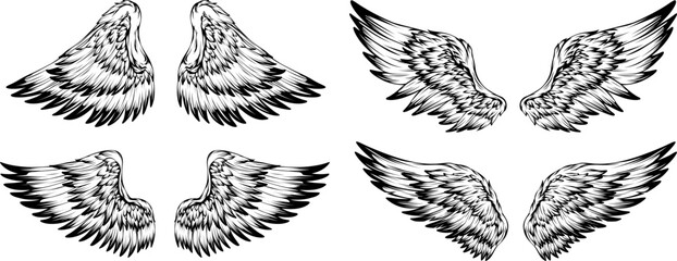 Bird wings illustration tattoo style. Hand drawn design element.