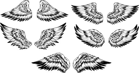 Fototapeta na wymiar Bird wings illustration tattoo style. Hand drawn design element.