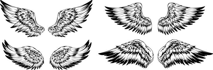 Bird wings illustration tattoo style. Hand drawn design element.