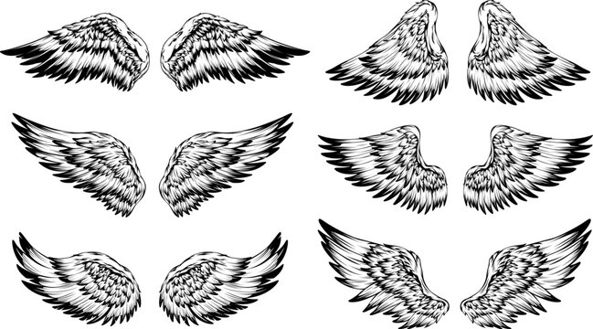 Bird wings illustration tattoo style. Hand drawn design element.